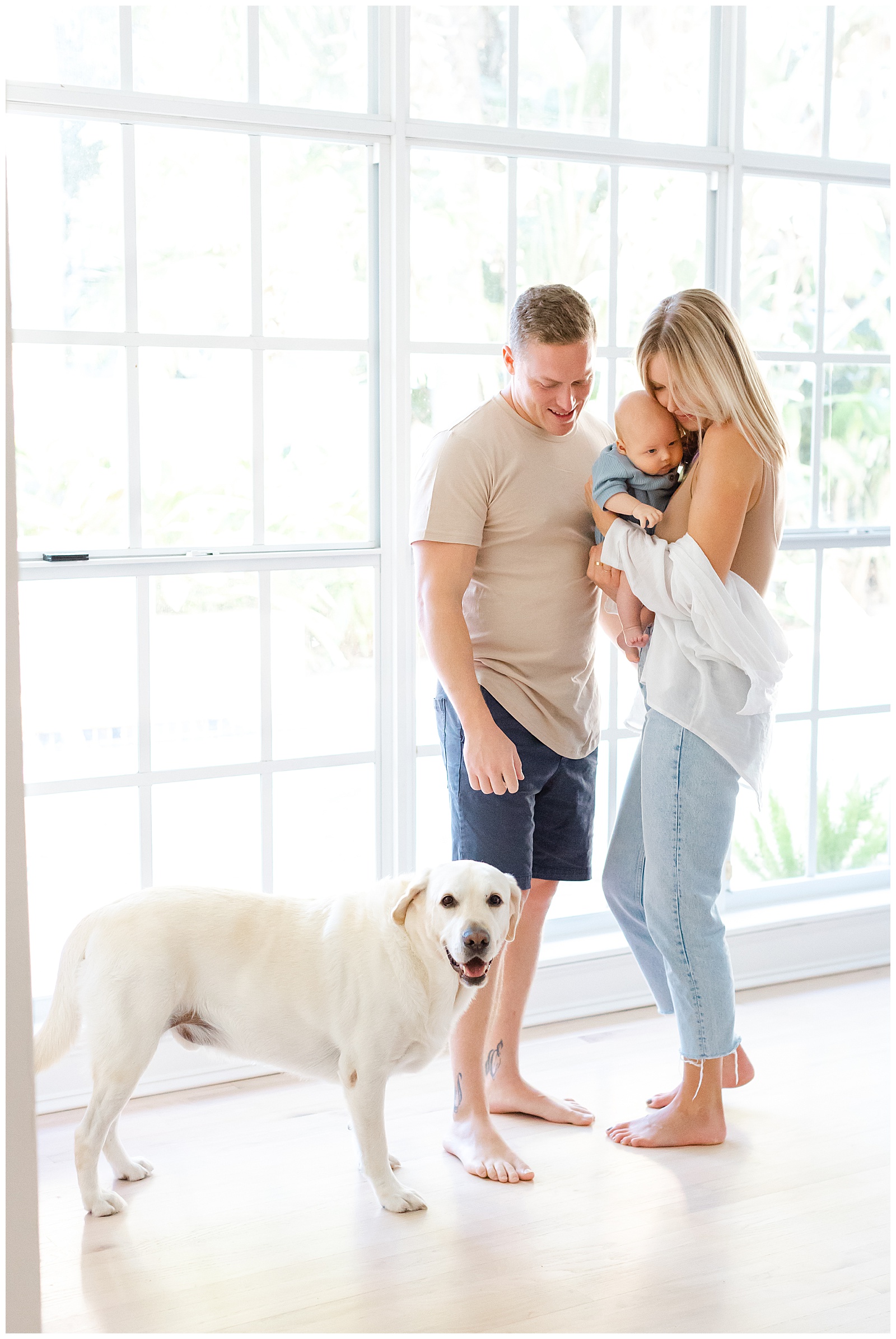 Light and Airy in home family photo in Tampa Florida with mom holding baby, dad and dog in front of beautiful large windows.